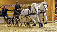 Salon de l'agriculture  -  Paris. 